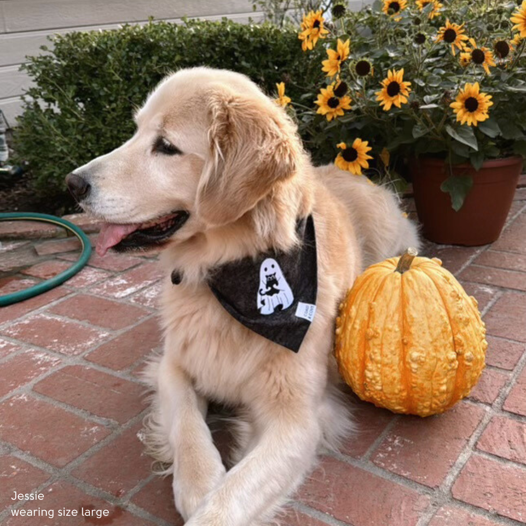 Ghosty Bandana