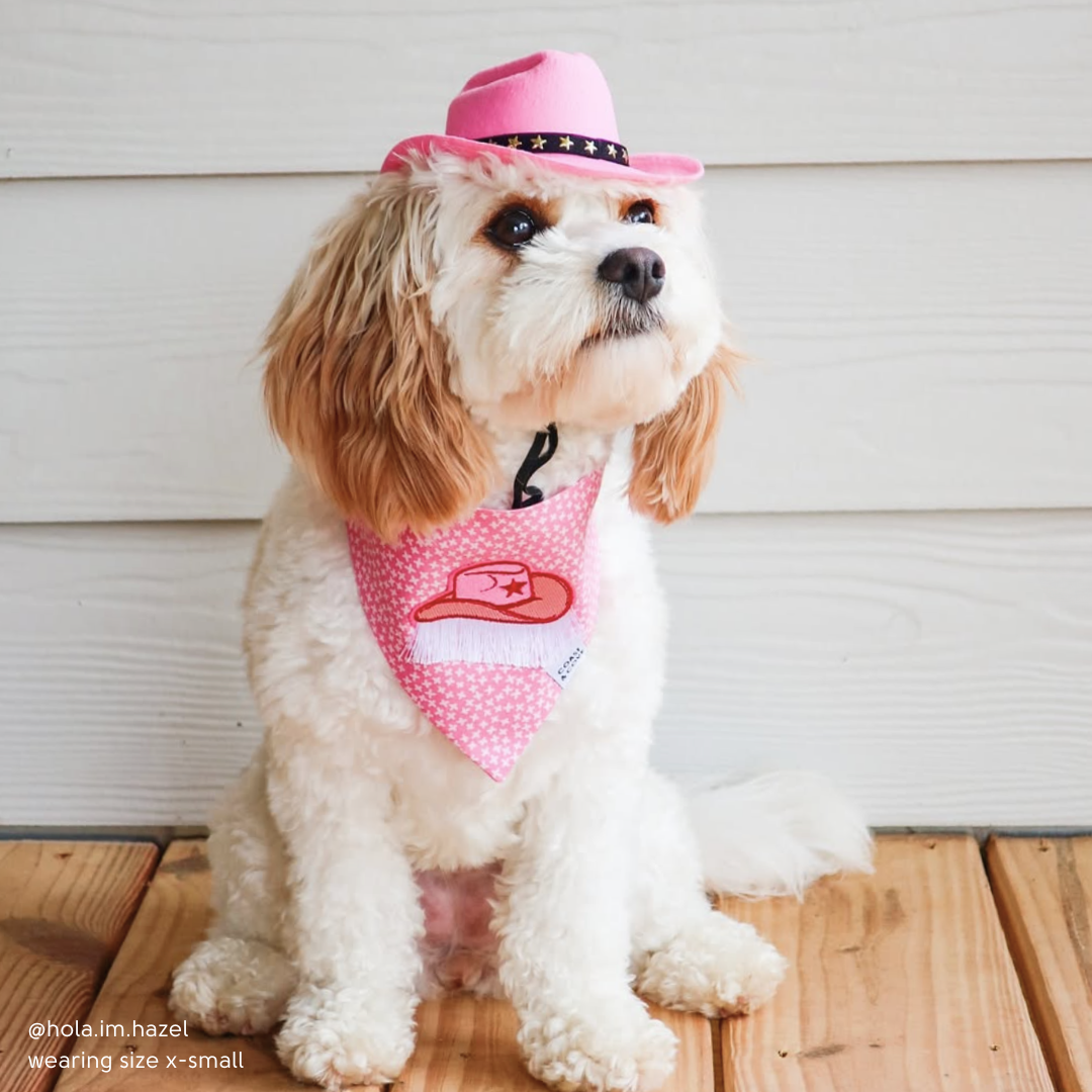 Let's Go Girls Bandana