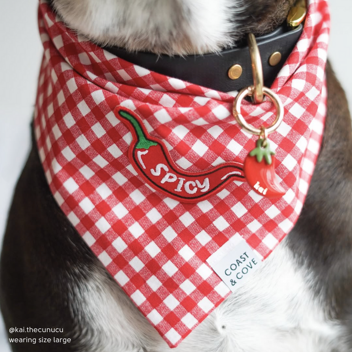 Spicy Bandana