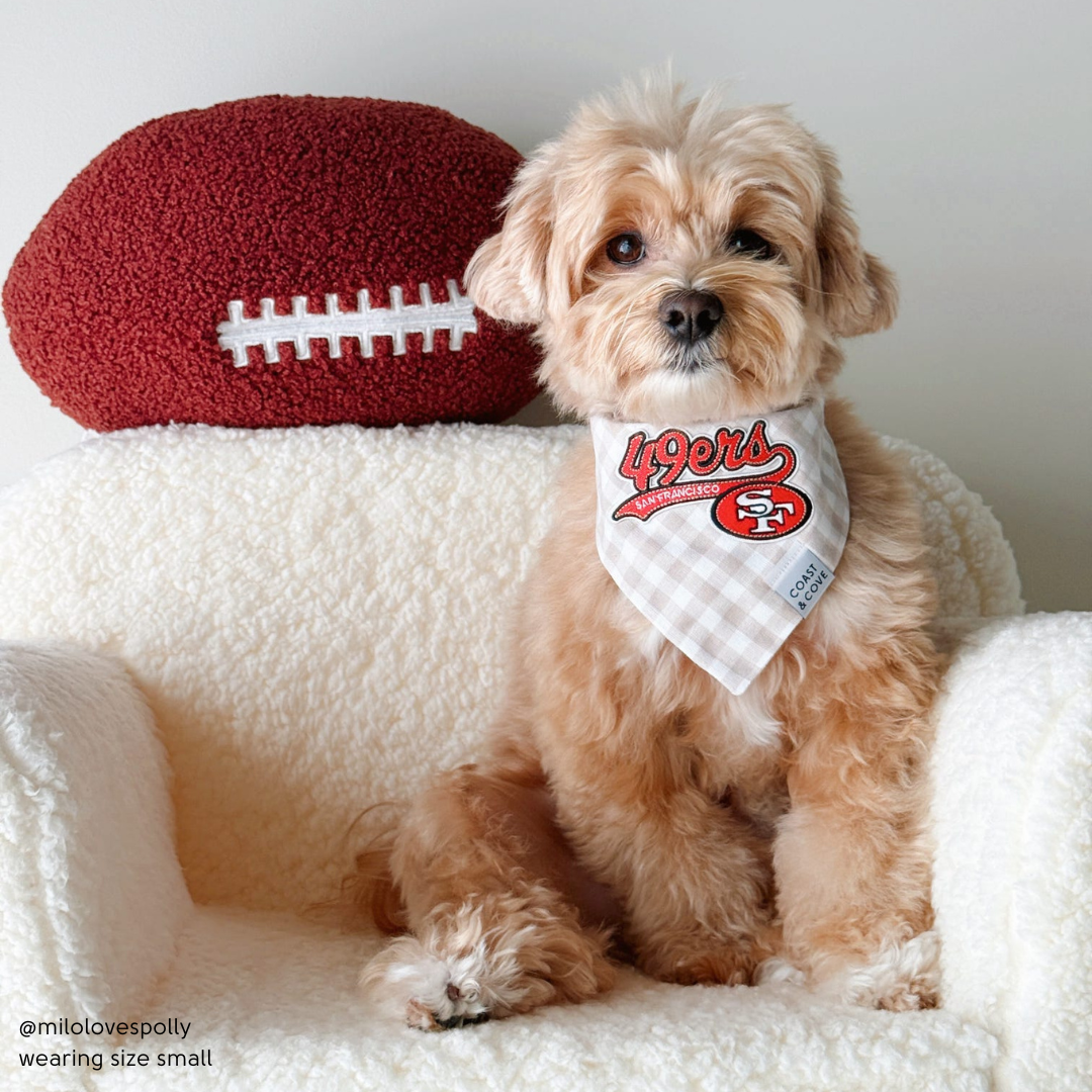 Your Team NFL Bandana [CUSTOM MADE TO ORDER]