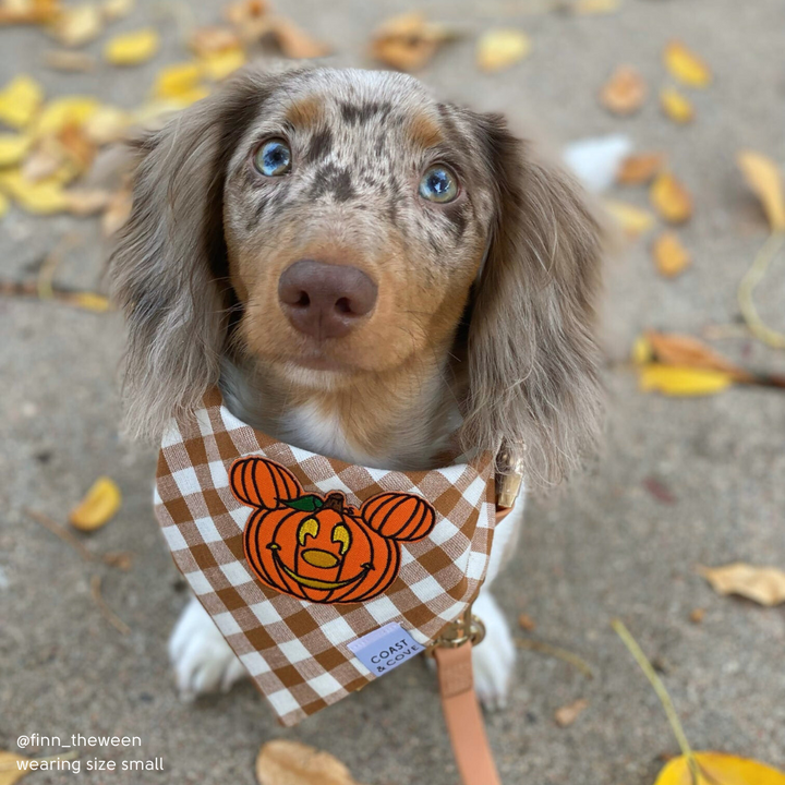 Mickey Pumpkin Bandana [LIMITED]