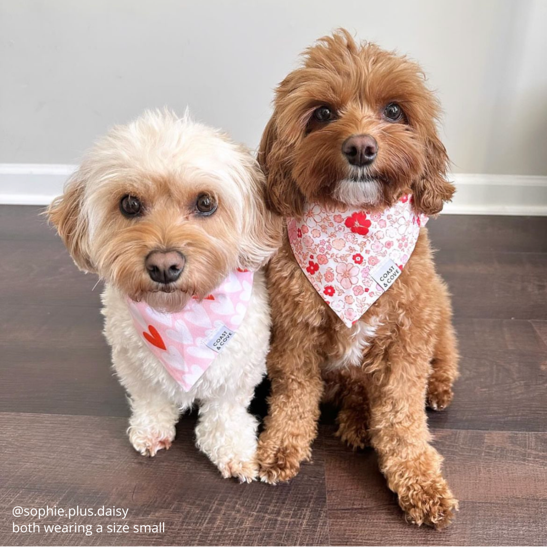 Romantic Floral Bandana