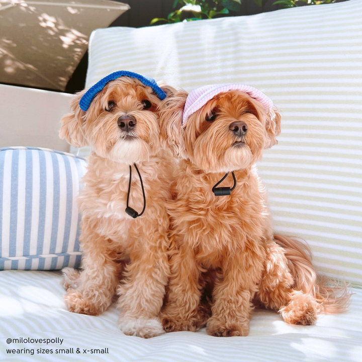 Baseball Hat for Dogs