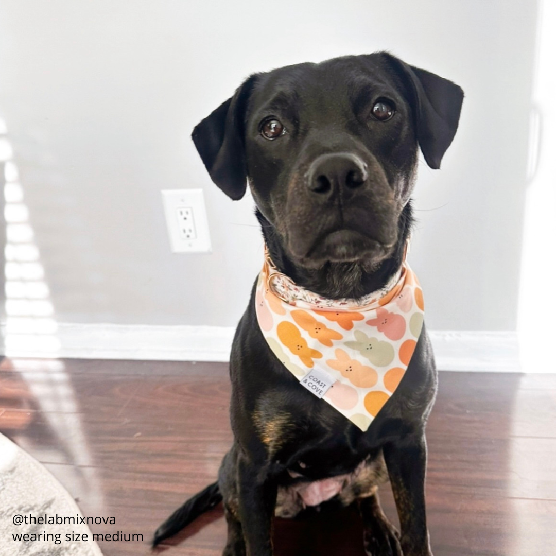 Me & My Peeps Bandana