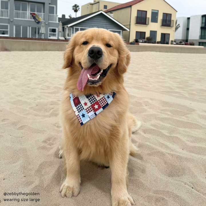 Patriotic Patchwork Bandana