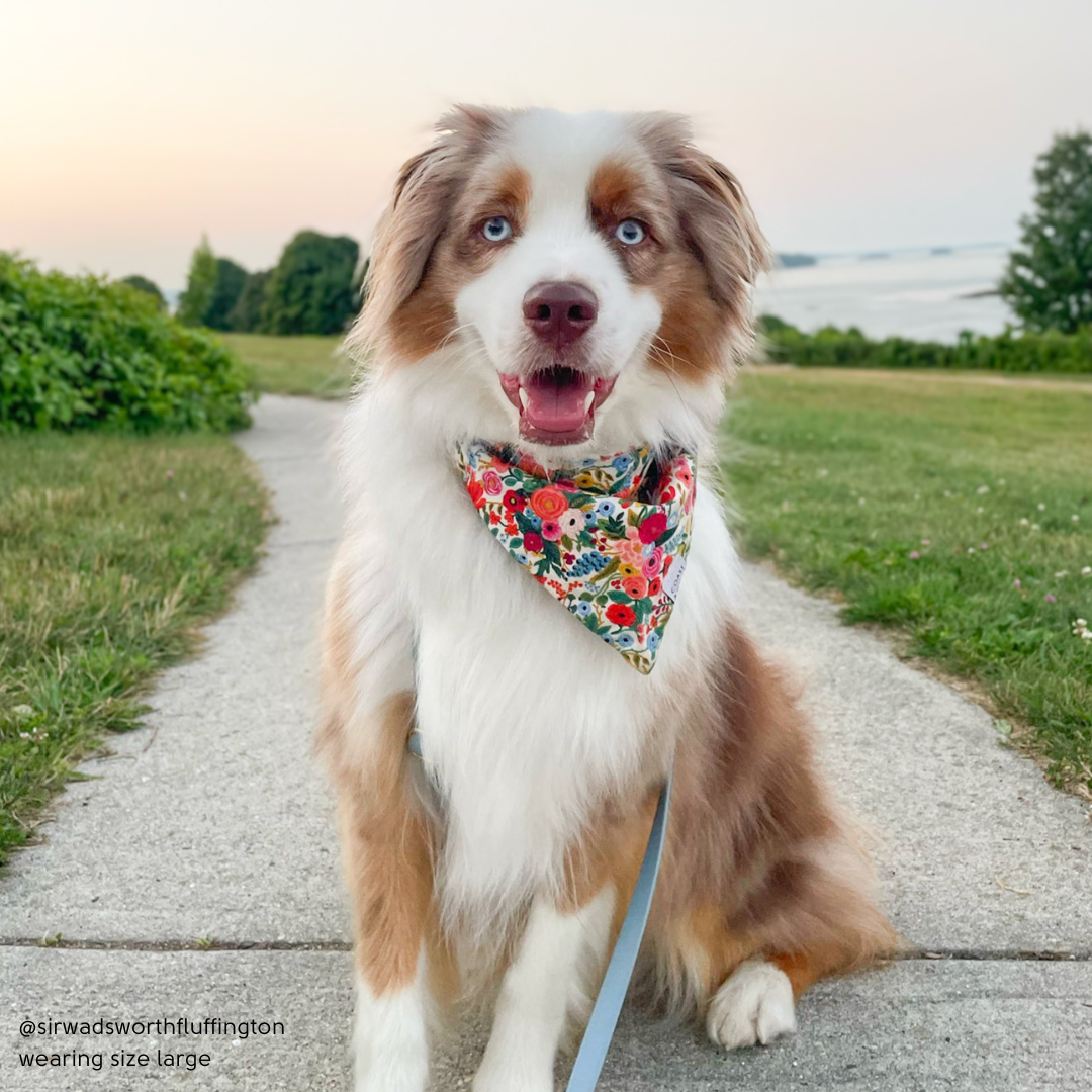 Garden Party Bandana
