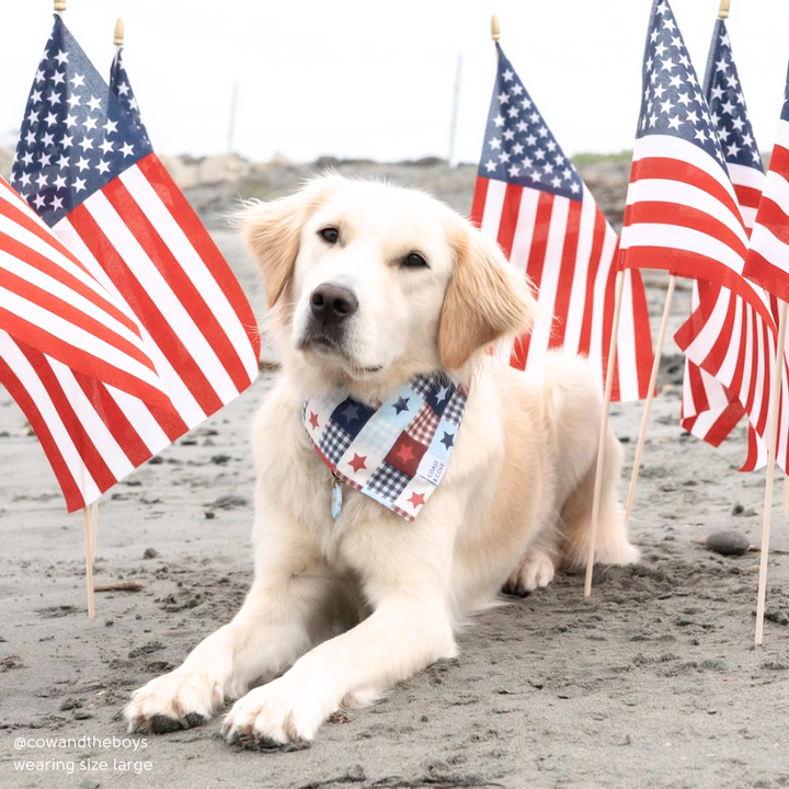 Patriotic Patchwork Bandana