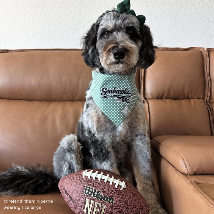 Your Team NFL Bandana [CUSTOM MADE TO ORDER]