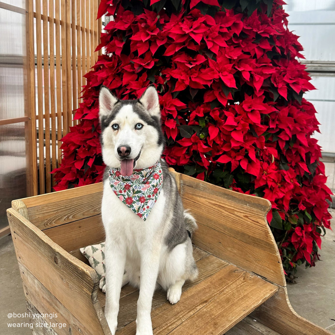 Holiday Bouquet Bandana