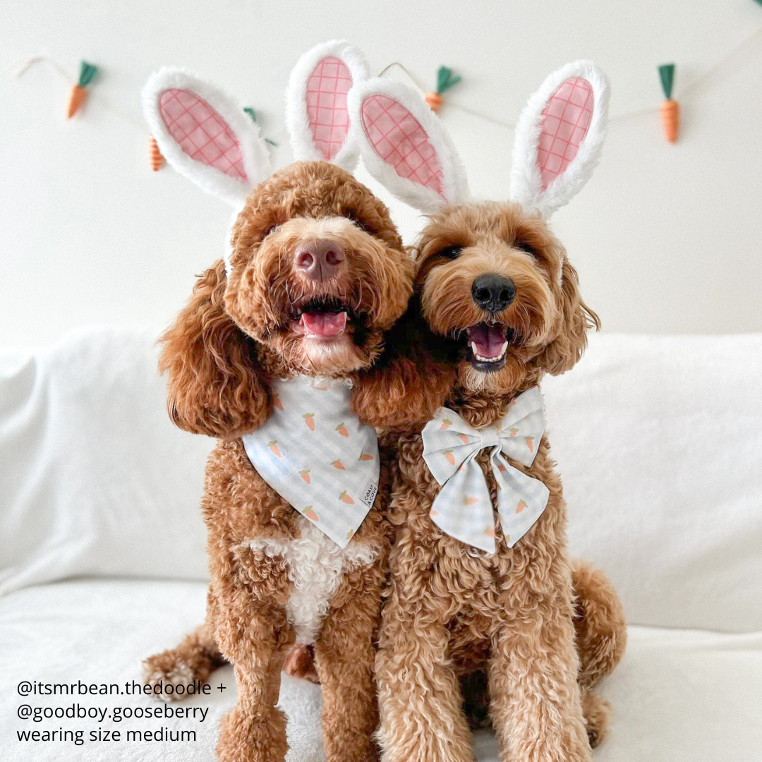 Bunny Ears Headband