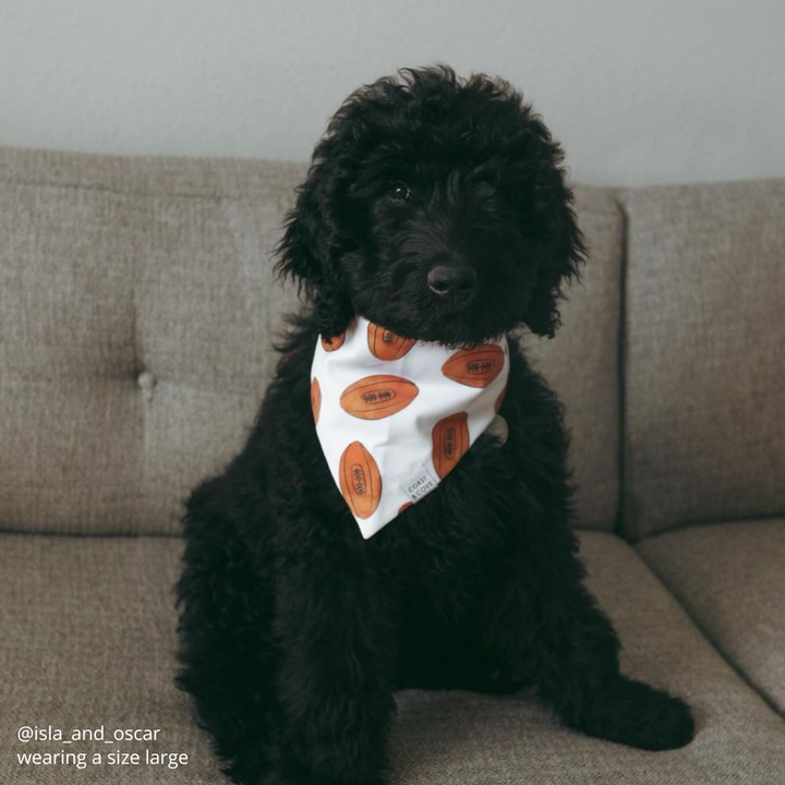 Game Day Bandana