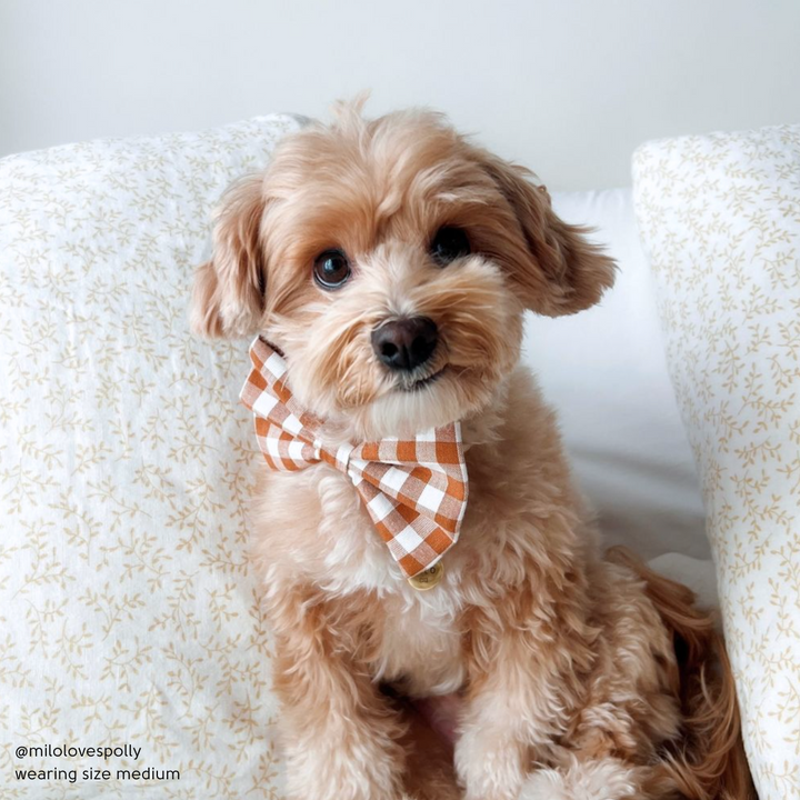 Pumpkin Gingham Bow Tie