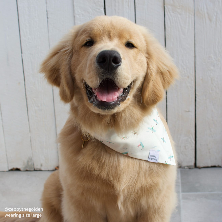 Surfs Up in Cream Bandana