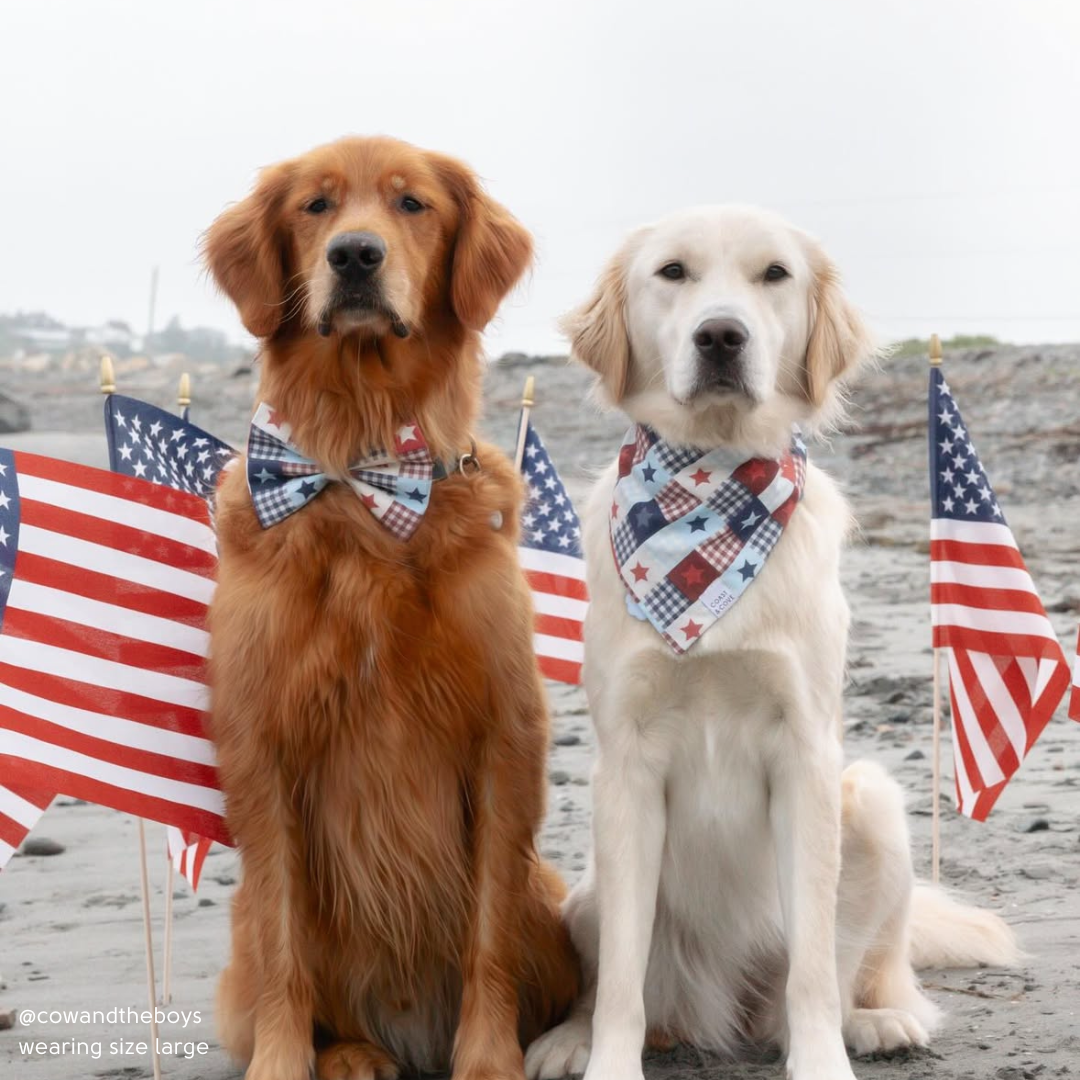 Patriotic Patchwork Bow Tie
