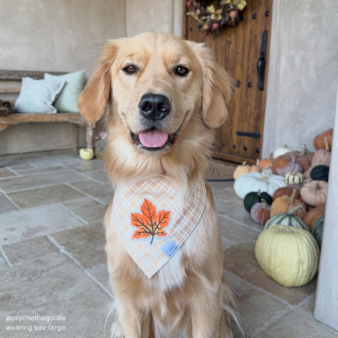 Maple Leaf Plaid Bandana
