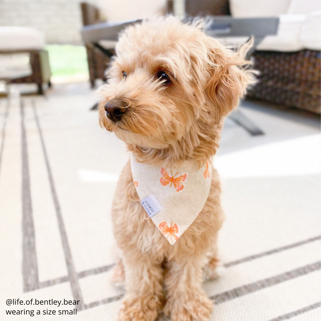 Butterfly Daydream Bandana