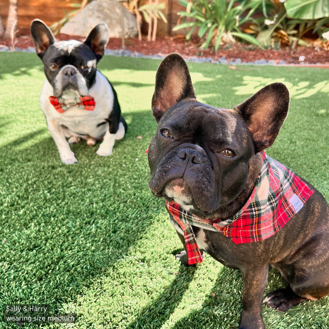 Christmas Morning Plaid Flannel Bandana