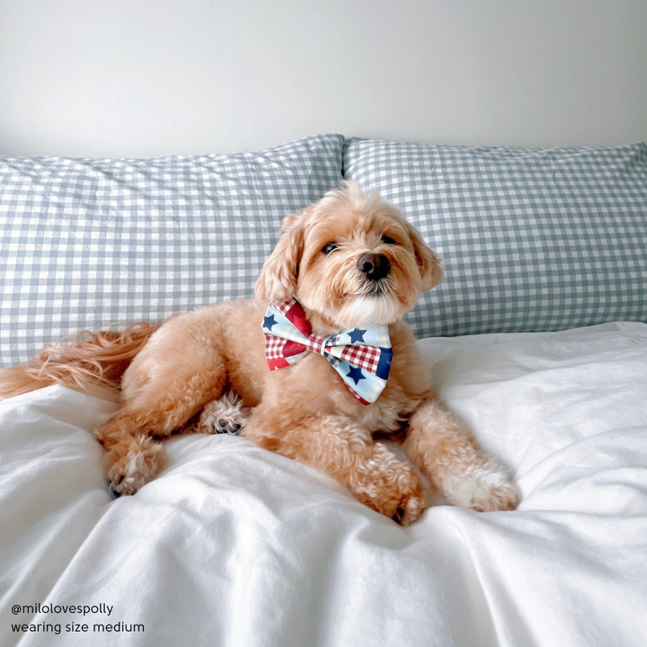 Patriotic Patchwork Bow Tie