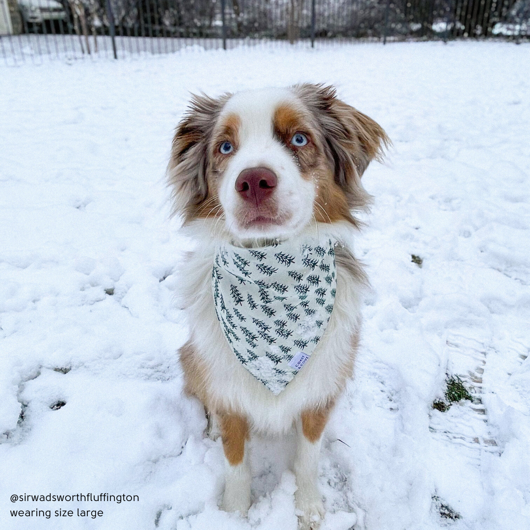 Frosted Forrest Bandana