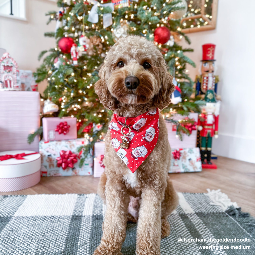 Holly Jolly St. Nick Bandana