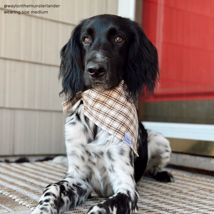 Woodland Plaid Flannel Bandana