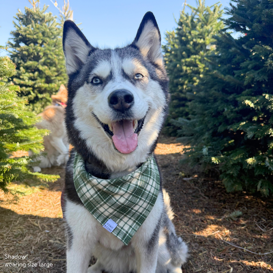 Winter Pine Plaid Flannel Bandana