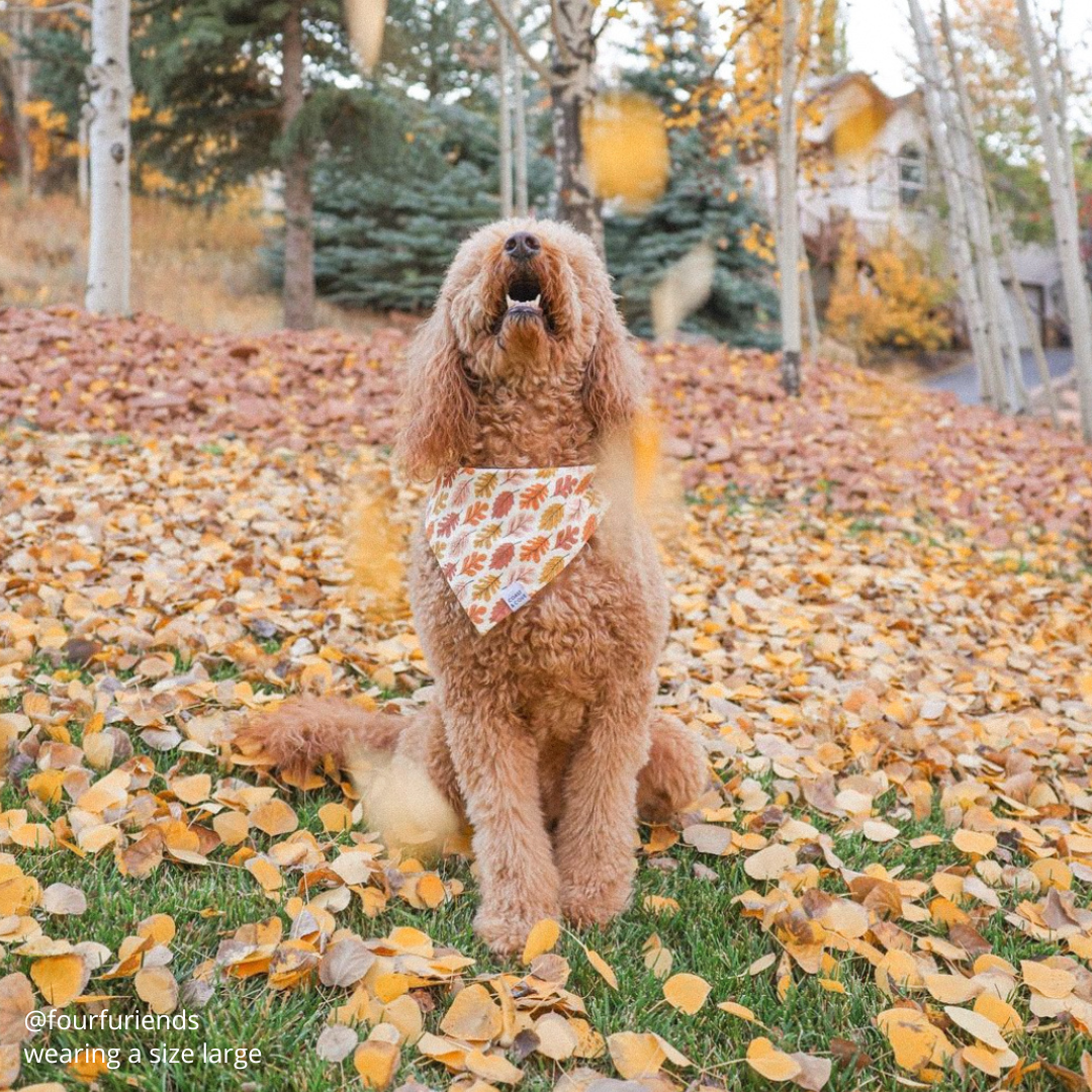 Falling Leaves Bandana