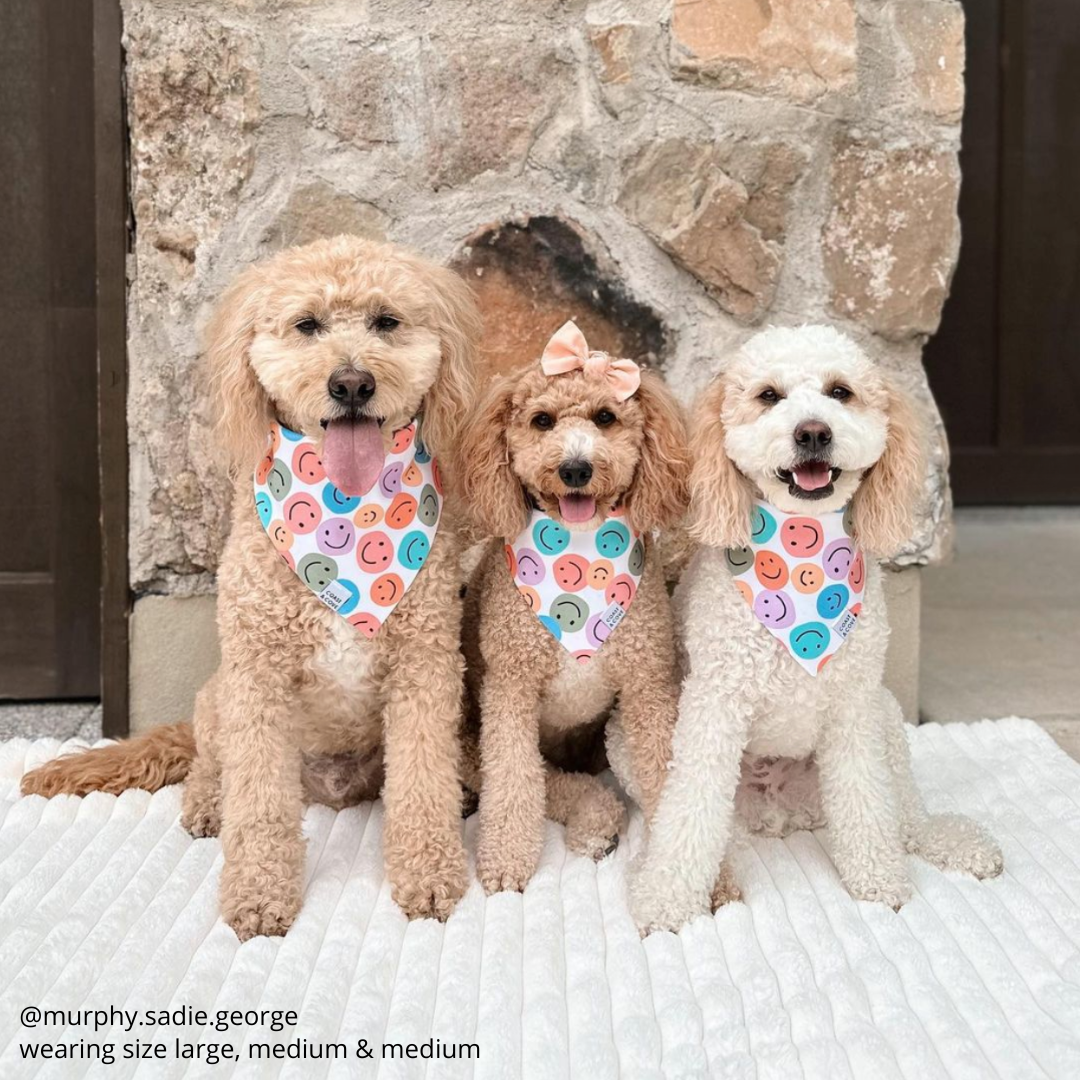 Rainbow Smiles Bandana