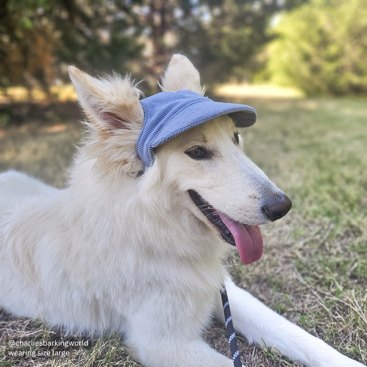 Baseball Hat for Dogs