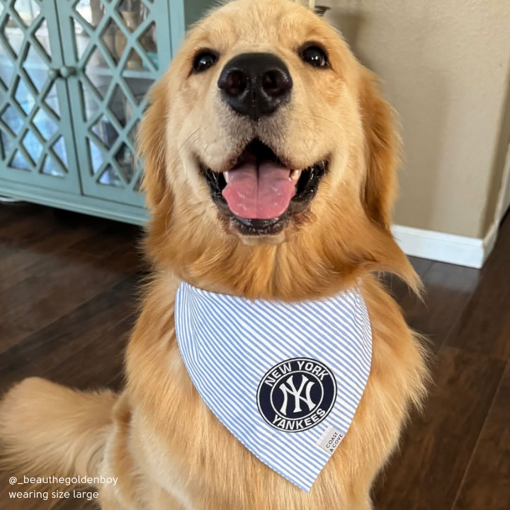 Your Team MLB Bandana [CUSTOM MADE TO ORDER]