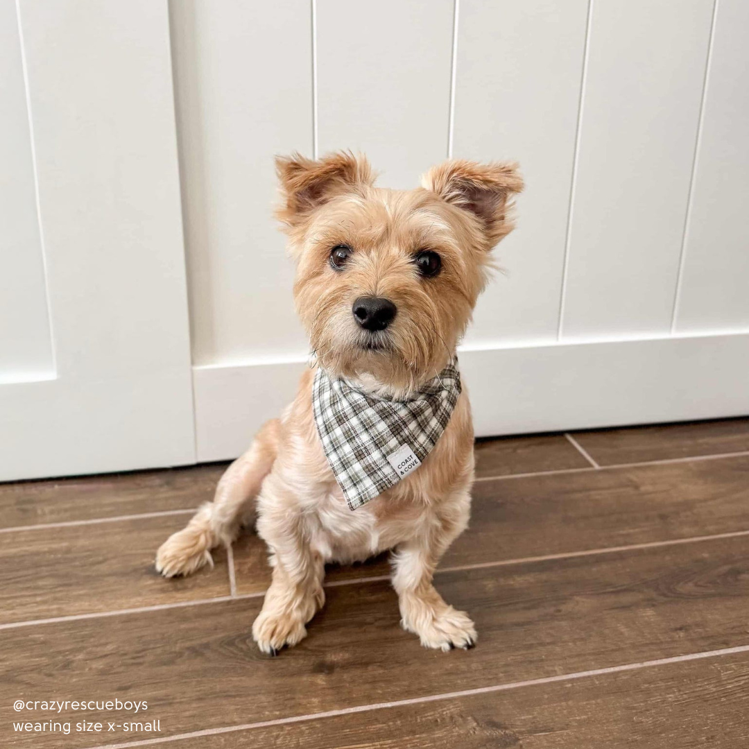 Fireside Plaid Flannel Bandana