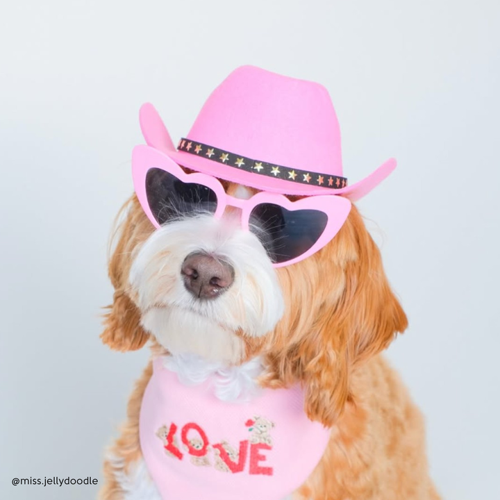 Cowboy Hat for Dogs