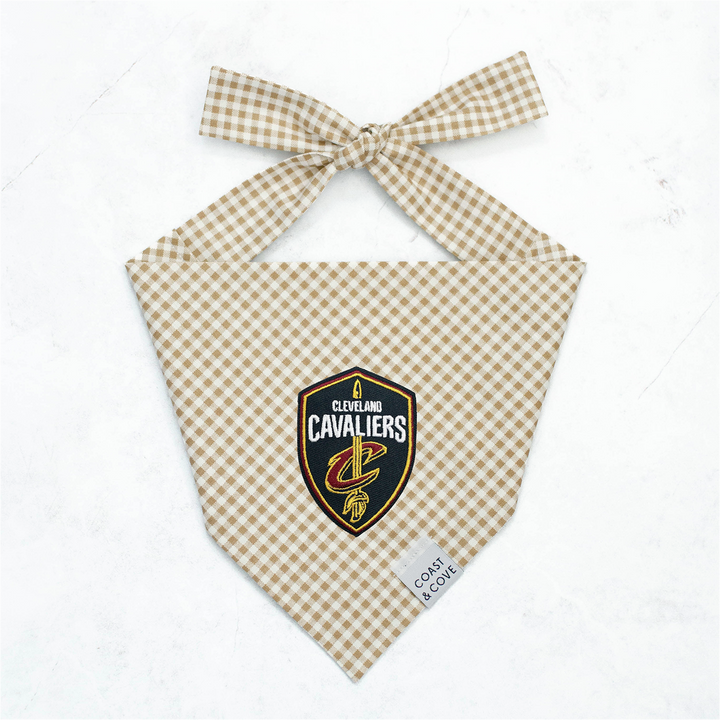Your Team NBA Bandana [CUSTOM MADE TO ORDER]