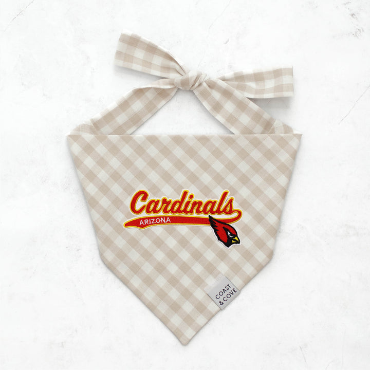 Your Team NFL Bandana [CUSTOM MADE TO ORDER]