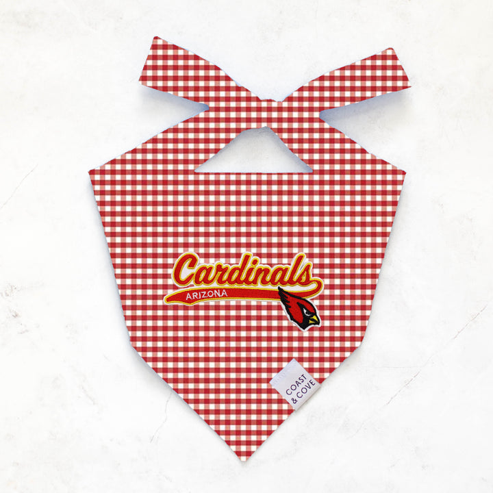 Your Team NFL Bandana [CUSTOM MADE TO ORDER]