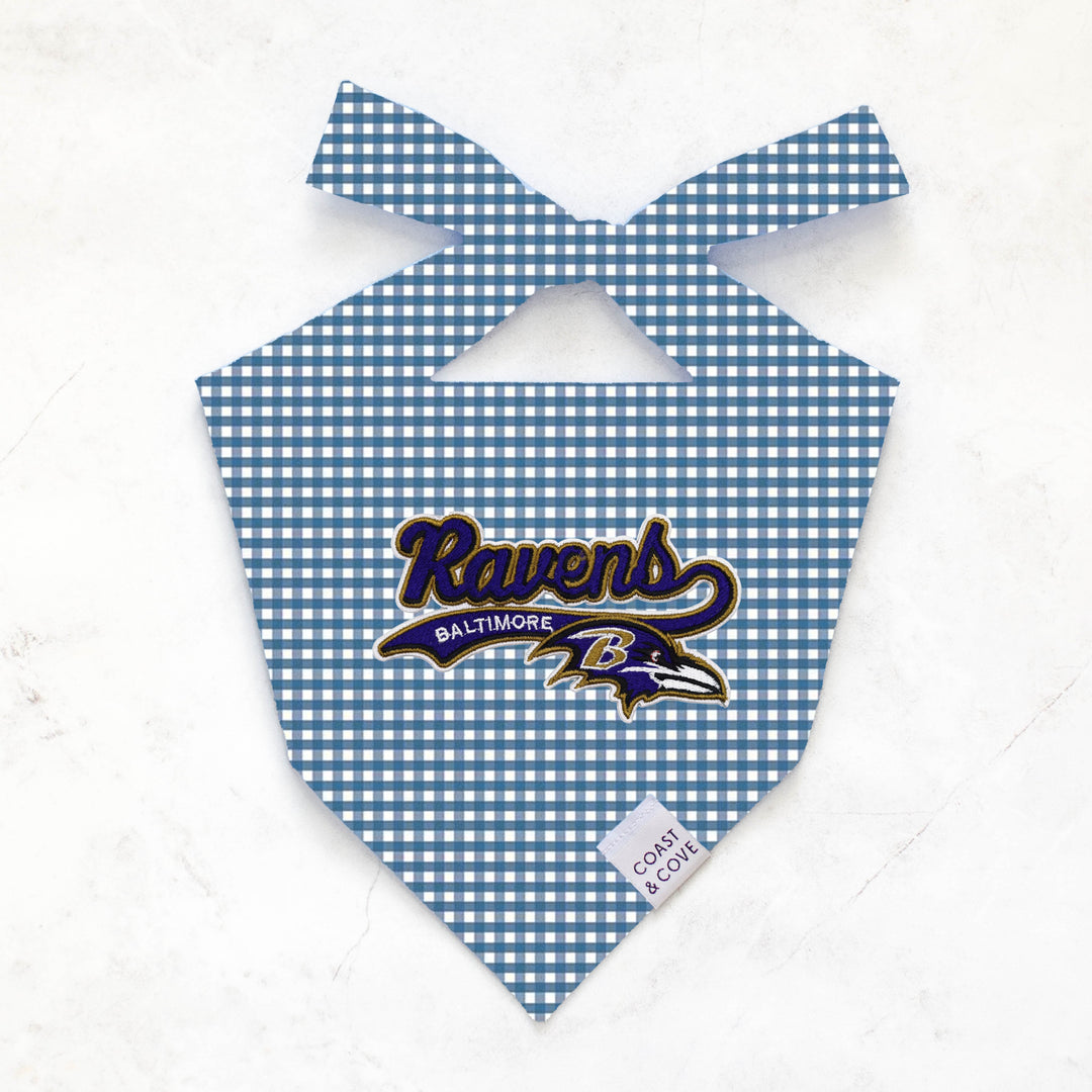 Your Team NFL Bandana [CUSTOM MADE TO ORDER]
