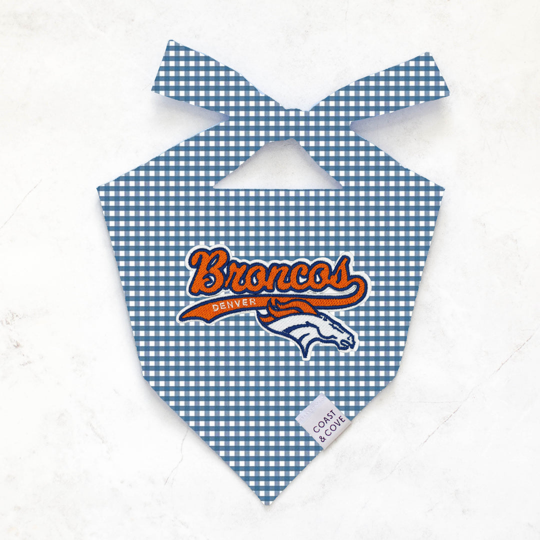 Your Team NFL Bandana [CUSTOM MADE TO ORDER]