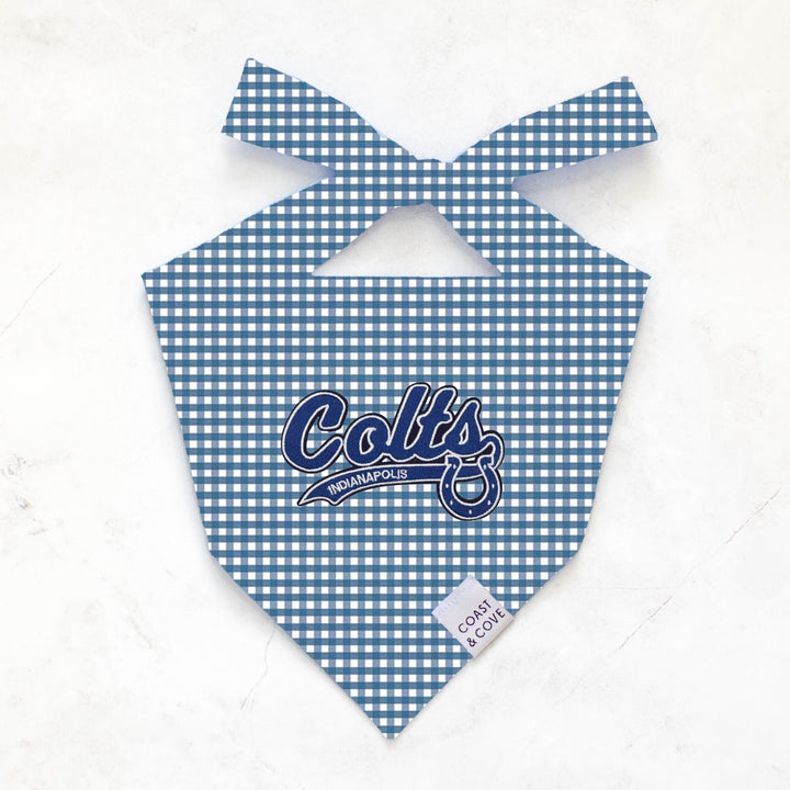Your Team NFL Bandana [CUSTOM MADE TO ORDER]