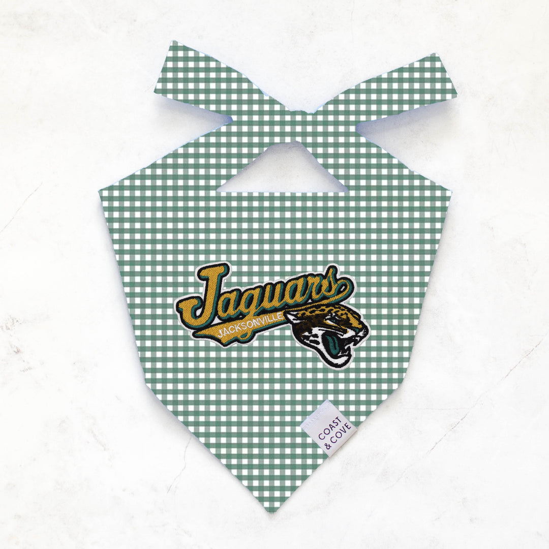 Your Team NFL Bandana [CUSTOM MADE TO ORDER]