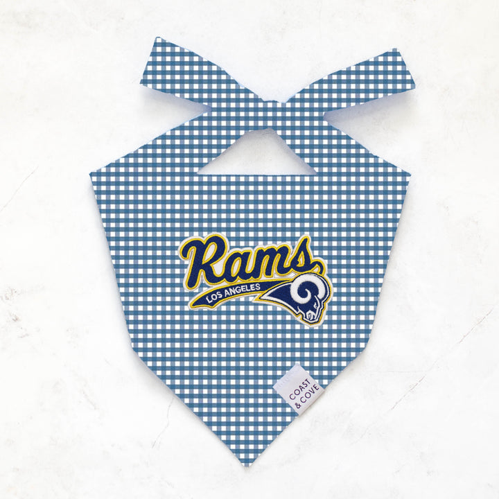 Your Team NFL Bandana [CUSTOM MADE TO ORDER]