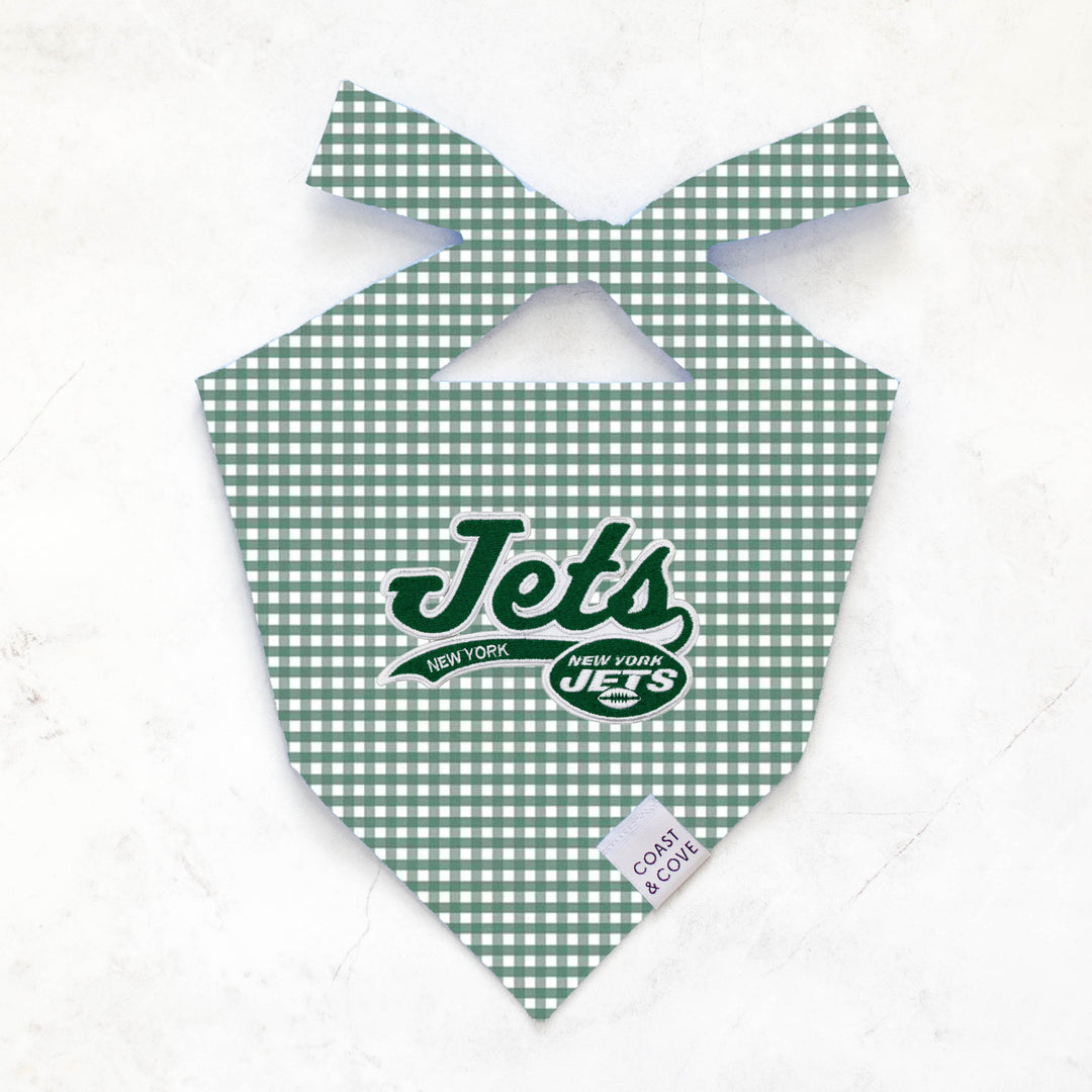 Your Team NFL Bandana [CUSTOM MADE TO ORDER]
