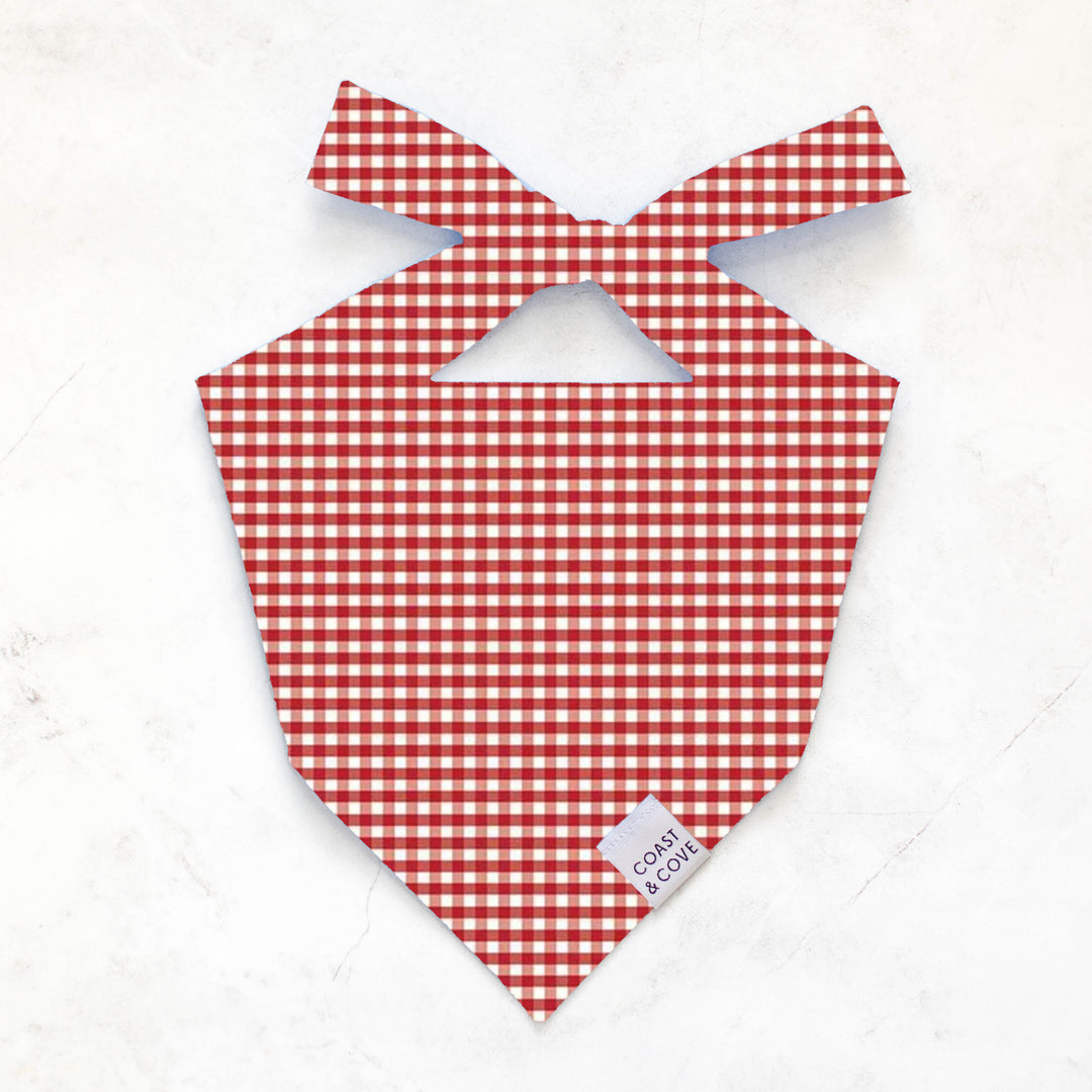 Your Team NFL Bandana [CUSTOM MADE TO ORDER]