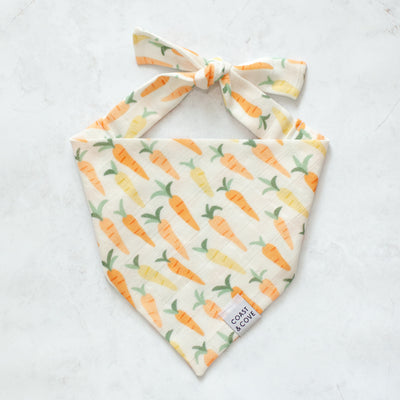 Carrot Patch Bandana