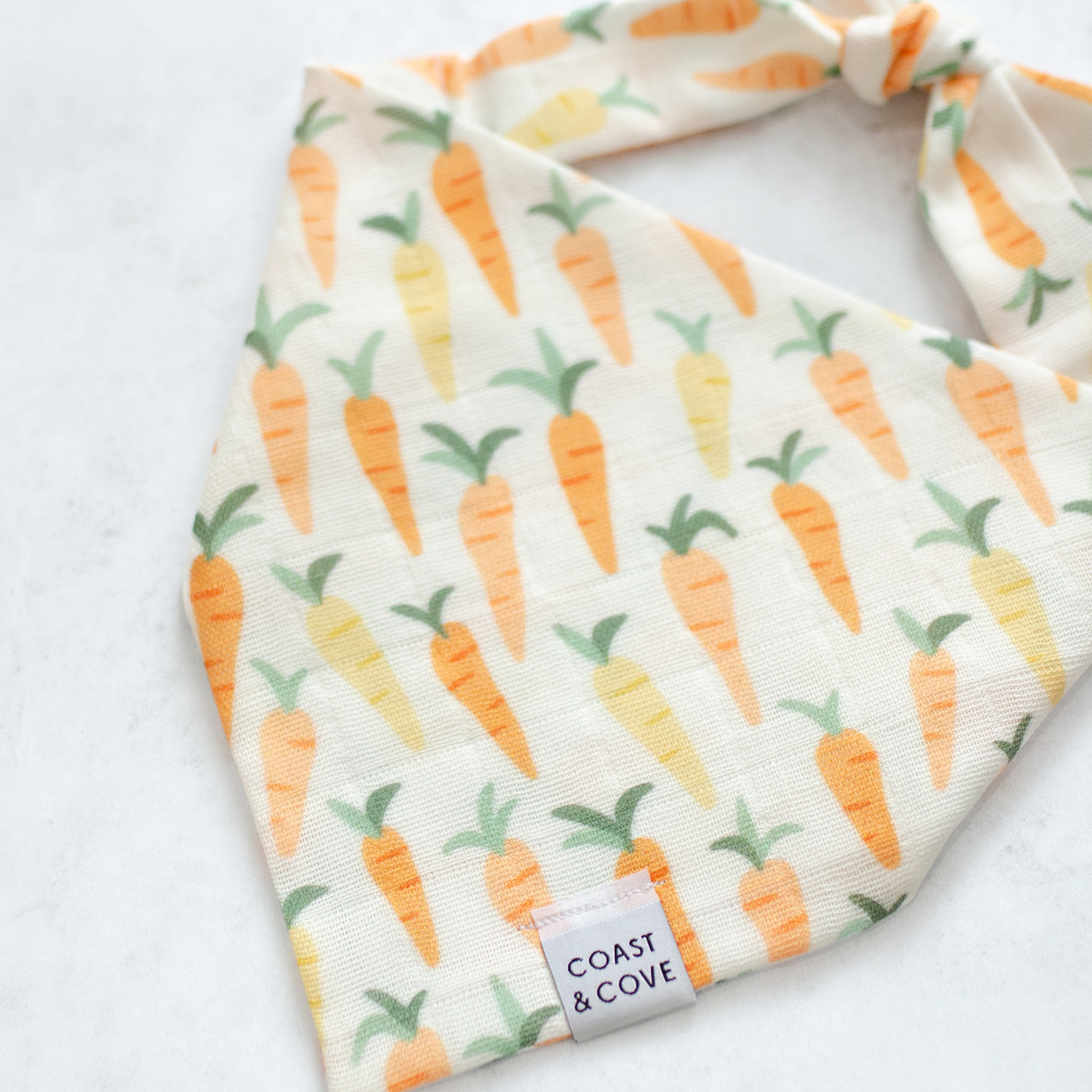 Carrot Patch Bandana