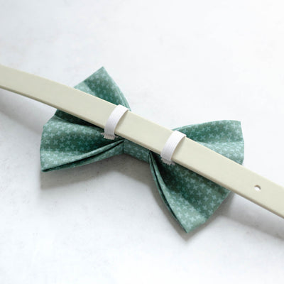 Evergreen Bow Tie