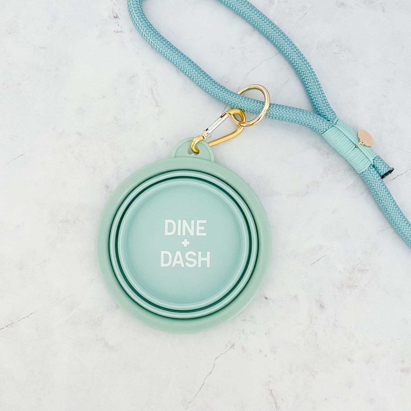 Puppy Starter Kit in Aqua