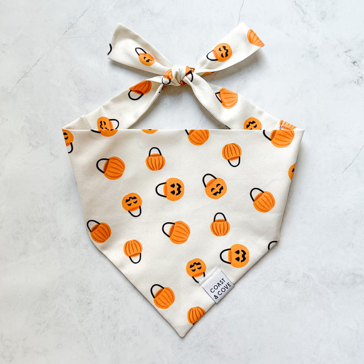 Trick-or-Treat Bandana