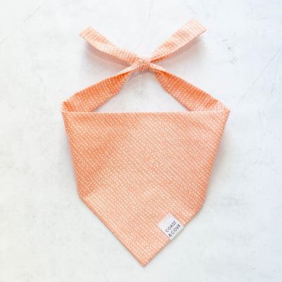 One in a Melon Bandana