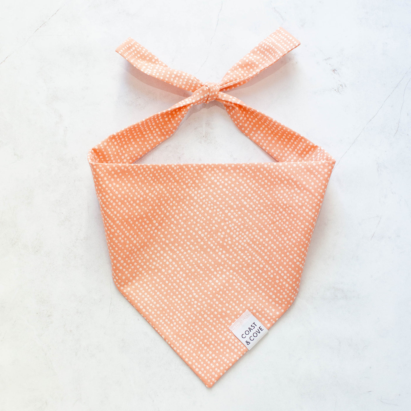 Puppy Starter Kit in Pink