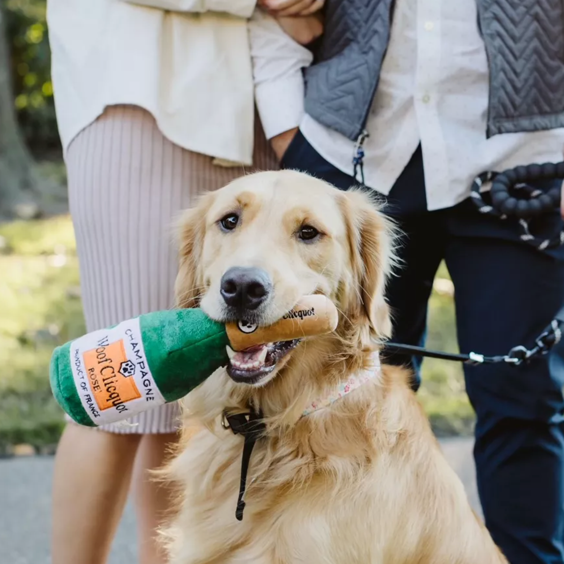 Woof Clicquot Champagne Toy
